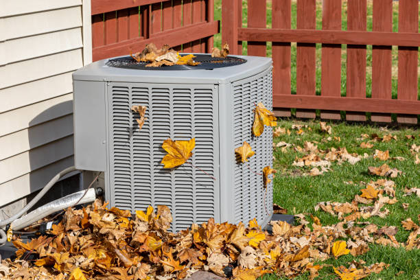 Best HVAC air duct cleaning  in Hallstead, PA